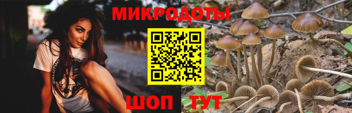 Галлюциногенные грибы Psilocybe  Псилоцибиновые грибы MAGIC MUSHROOMS  Вход с VPN  Борисоглебск 